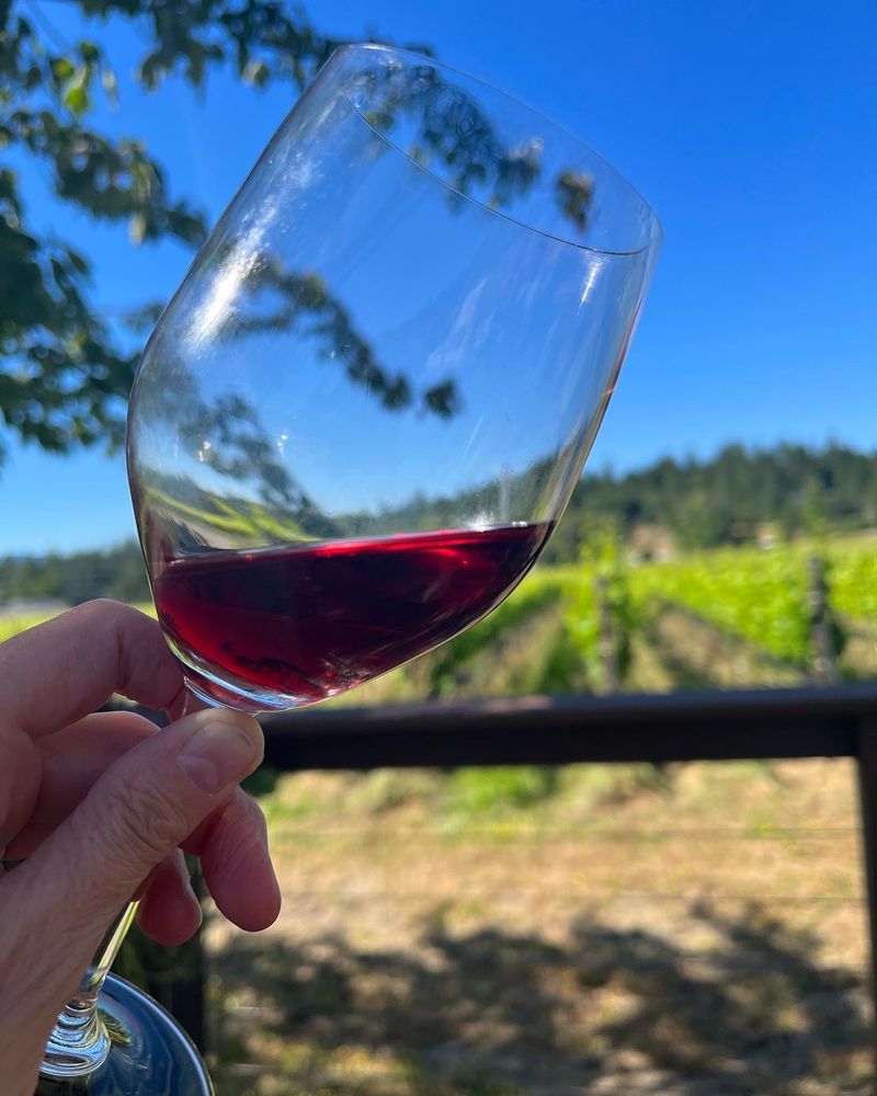 Apricity Vineyard Logo