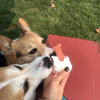 Arlington Dairy Bar - They gave my babies the sweetest of treats after our little walk - Fast Food Near Me - Arlington, Vermont Arlington Dairy Bar - They gave my babies the sweetest of treats after our little walk - Fast Food Near Me - Arlington, Vermont