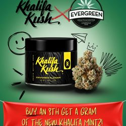 Evergreen Cannabis Dispensary - Evergreen x Khalifa Kush