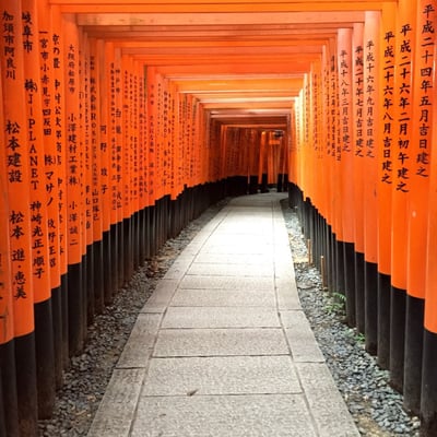 Senbon Torii (Thousand Torii Gates) by null
