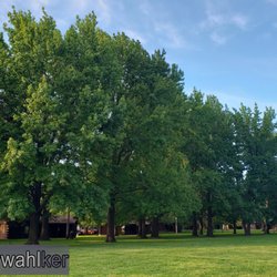 4-H Memorial Camp - Many great weekends spent here!