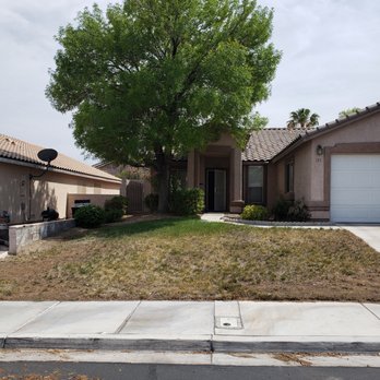 Z Best Turf - This is how my lawn looked before. - Artificial Turf Near Me Z Best Turf - This is how my lawn looked before. - Artificial Turf Near Me