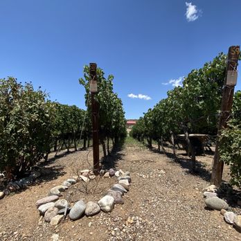 Waggin’ Vineyard & Estate - Wineries Near Me - Globe, Arizona Waggin’ Vineyard & Estate - Wineries Near Me - Globe, Arizona