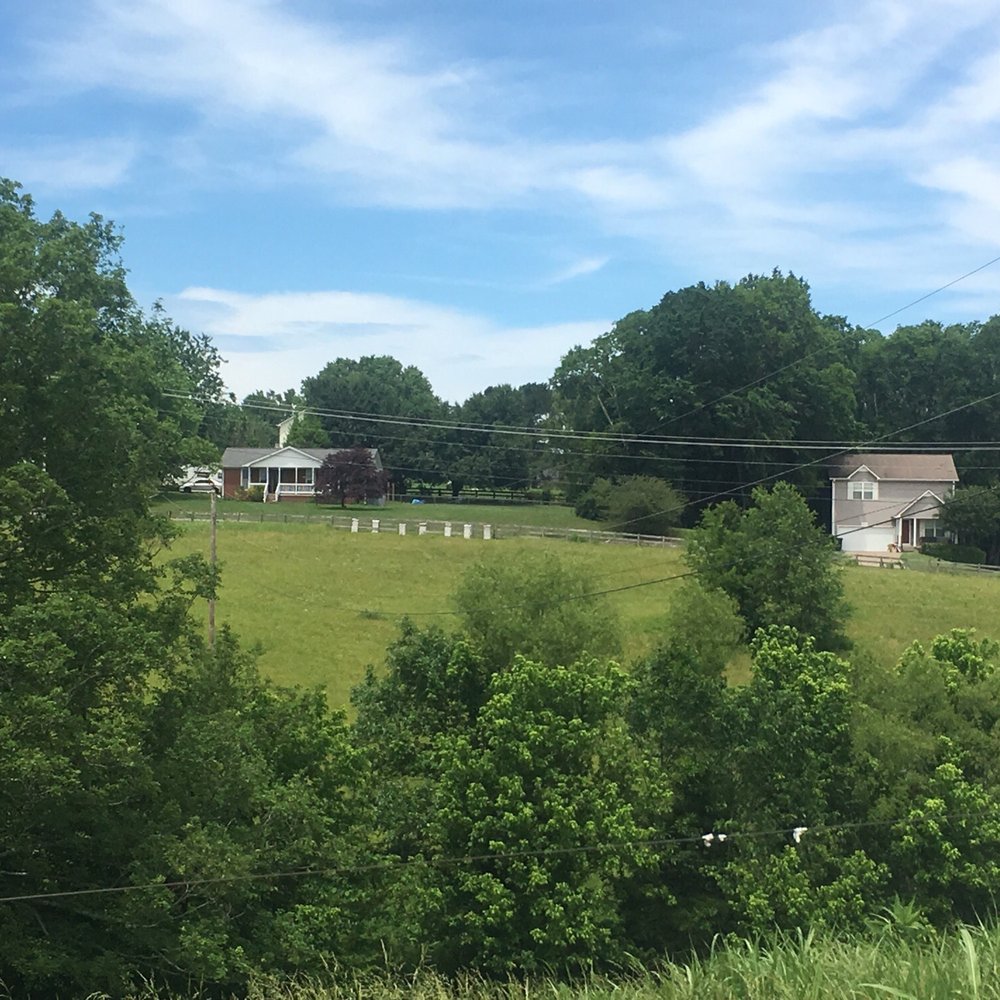 Pantall Farm - a view of a farm from a distance - Farmers Market Near Me - Columbia, Tennessee Pantall Farm - a view of a farm from a distance - Farmers Market Near Me - Columbia, Tennessee