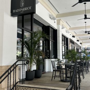 Bad Parrot Cafe - Cafes Near Me - Hallandale Beach, Florida Bad Parrot Cafe - Cafes Near Me - Hallandale Beach, Florida