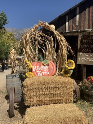 Riley's Farm by null