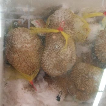 88 Ranch Marketplace - Frozen Whole Durian!!! - Grocery Near Me - Temecula, California 88 Ranch Marketplace - Frozen Whole Durian!!! - Grocery Near Me - Temecula, California