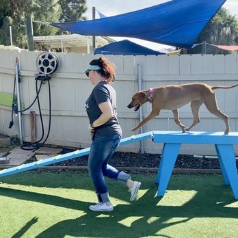 Kamp Kanine - Pet Sitting Near Me - Encinitas, California Kamp Kanine - Pet Sitting Near Me - Encinitas, California