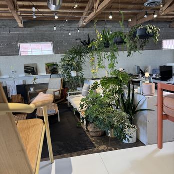 Satellite Coffee Bar - Plant life - Coffee & Tea Near Me - Phoenix, Arizona Satellite Coffee Bar - Plant life - Coffee & Tea Near Me - Phoenix, Arizona