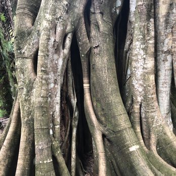 Oak Hammock Park - Parks Near Me - Port St. Lucie, Florida