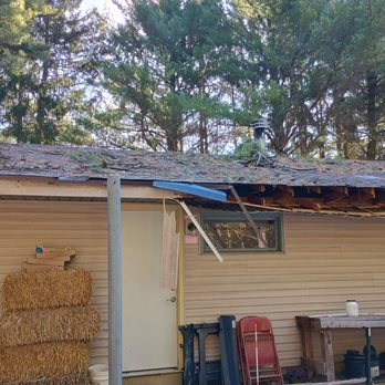 Mueller Arborists - Tree debris. - Tree Services Near Me