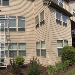 Mountain View Window Cleaning - Setting up a ladder for traditional window cleaning.
