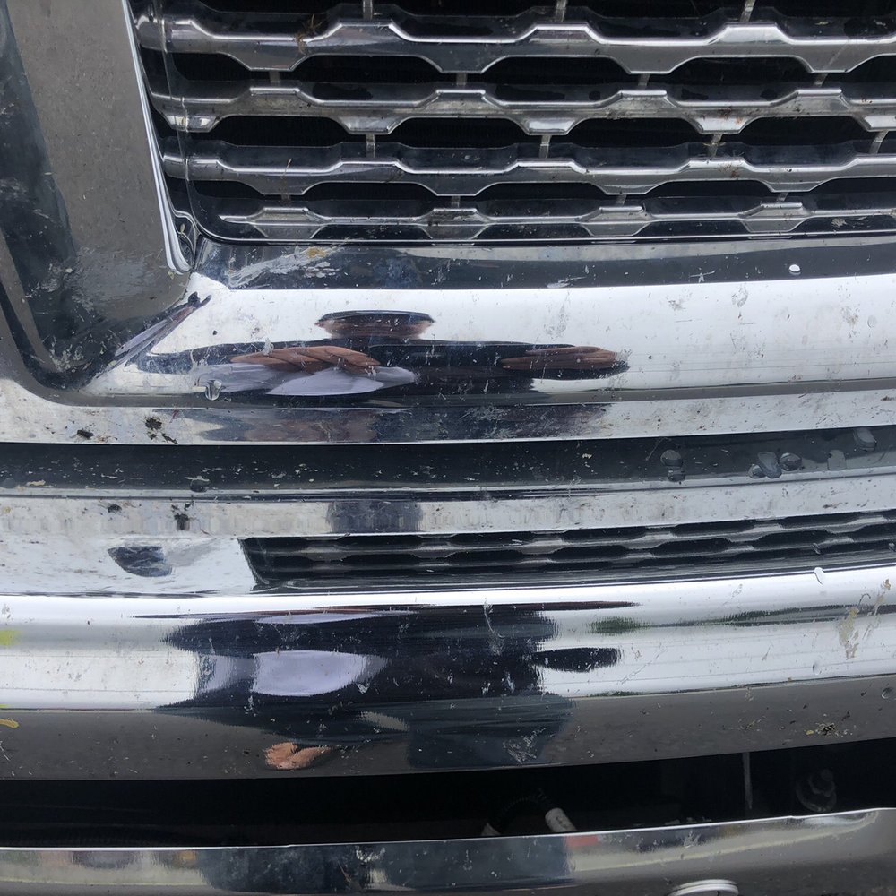 Brown Bear Car Wash - Bugs - Car Wash Near Me - Poulsbo, Washington