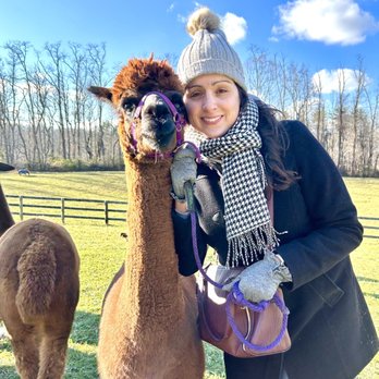 Lilymoore Alpaca Farm - Lots of photo ops! - Attraction Farms Near Me - Pleasant Valley, New York Lilymoore Alpaca Farm - Lots of photo ops! - Attraction Farms Near Me - Pleasant Valley, New York