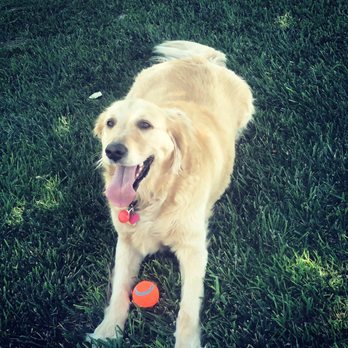 Armenta Pet Academy - Elementary Schools Near Me