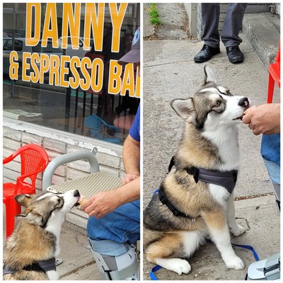 Gelato On The Danny & Espresso Bar by null