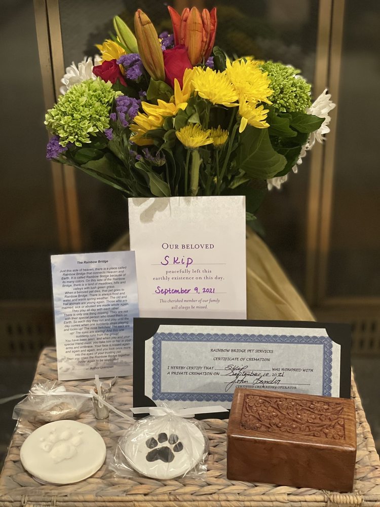 Rainbow Bridge Pet Services