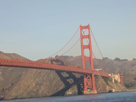 Dylan's Tours by null