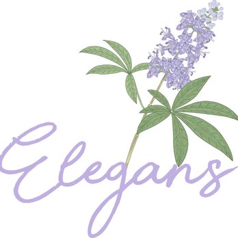 Elegans - a purple flower with the word elegans - Landscaping Near Me Elegans - a purple flower with the word elegans - Landscaping Near Me