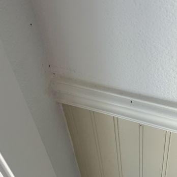 Aptive Pest Control - Ant gel - Pest Control Near Me - Yorba Linda, California Aptive Pest Control - Ant gel - Pest Control Near Me - Yorba Linda, California