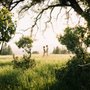 Azara Images