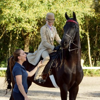 Suncoast Stables and Riding Academy - Show rider instruction - Horseback Riding Near Me - Odessa, Florida Suncoast Stables and Riding Academy - Show rider instruction - Horseback Riding Near Me - Odessa, Florida