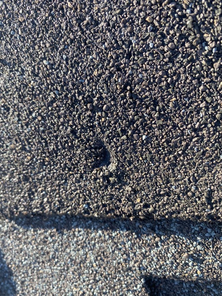 Slide of Semper Solaris