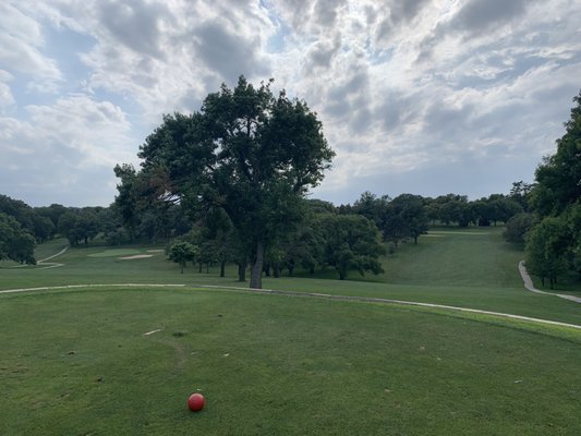 ELMWOOD GOLF COURSE Updated June 2024 13 Reviews 6232 Pacific St ELMWOOD GOLF COURSE Updated June 2024 13 Reviews 6232 Pacific St