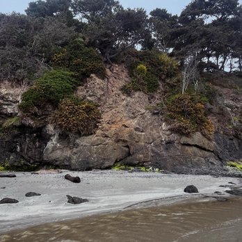 Jug Handle State Natural Reserve - Along the beach - Parks Near Me - Fort Bragg, California