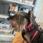 Photo of Malton Veterinary Services
