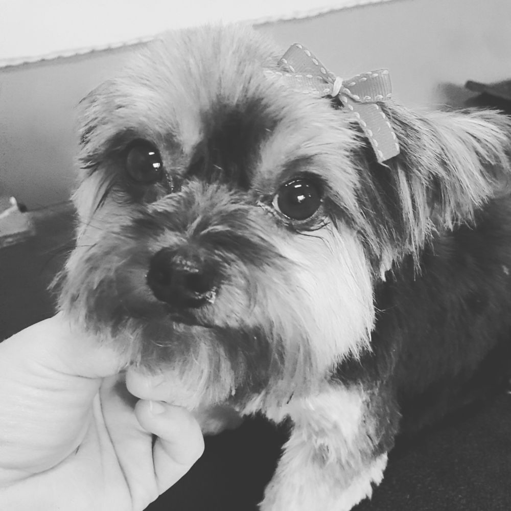 Bed Bath And Barks Image