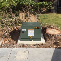 Stump that was left by NV Energy when they cut my tree down. Stump that was left by NV Energy when they cut my tree down.