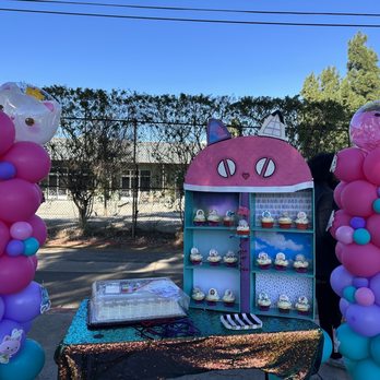 Valley Star Events - Gabbys Dollhouse party setup, balloons held up nicely in windy conditions - Party & Event Planning Near Me