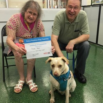 Petco - Chris, Chip and Brody Bear with training certificate - Pet Training Near Me - Ranson, West Virginia