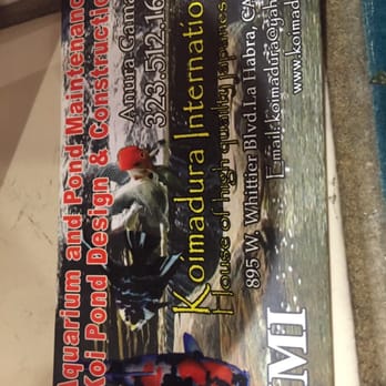 Koi Madura International - Local Fish Stores Near Me - San Gabriel, California