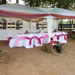 Beyond The Barn - Wedding style tent in 2 theme colors of your choice this is Princess Pink