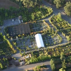 Solomon's Gardens Nursery & Landscaping - 4-acre nursery in Sonora!