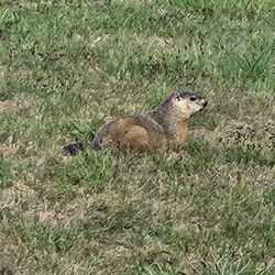 Jim Barnett Park - I also made a friend.