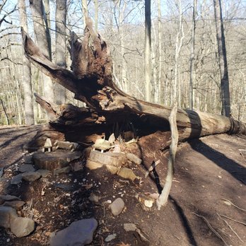 South Mountain Fairy Trail - Kids Activities Near Me