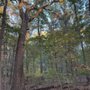 Wintergarden/St. John's Nature Preserve