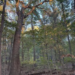 Wintergarden/St. John's Nature Preserve