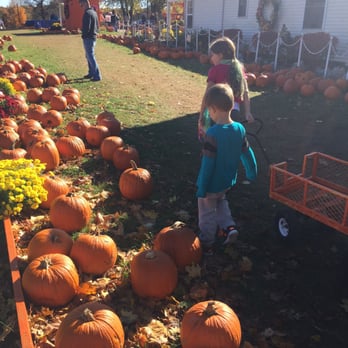 Gene The Pumpkin Man - Pumpkin Patches Near Me - Kalamazoo, Michigan