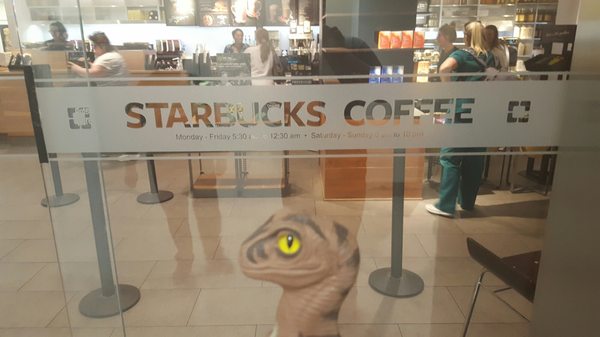 Starbucks by null
