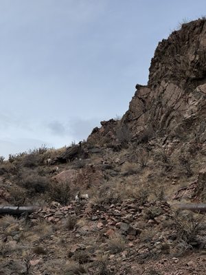 Royal Gorge Route Railroad by null