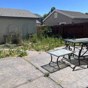 E&L - Before - Lawn Services Near Me E&L - Before - Lawn Services Near Me