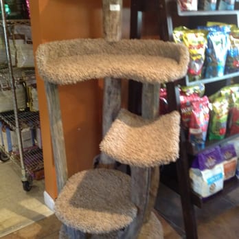Bentley's Pet Stuff - They've got the good cat trees! - Pet Stores Near Me - Arlington Heights, Illinois