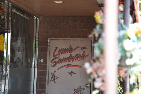 Lynda Sandwich by null