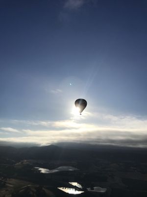 Napa Valley Aloft Hot Air Balloon Rides by null