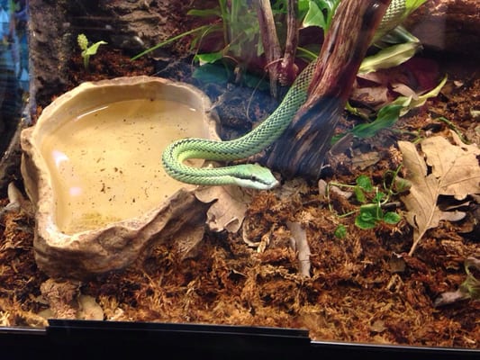 Museum of Natural Sciences of Barcelona by null