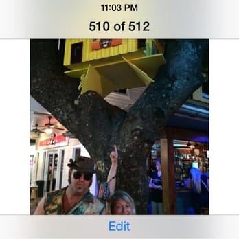 Hog's Breath Saloon - Bars Near Me - Key West, Florida Hog's Breath Saloon - Bars Near Me - Key West, Florida